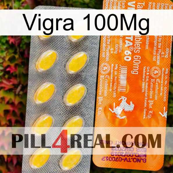 Vigra 100Mg new05.jpg